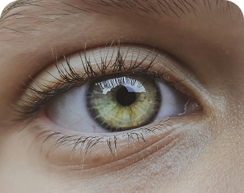 Pathologie oculaire non stabilisée | NY Center