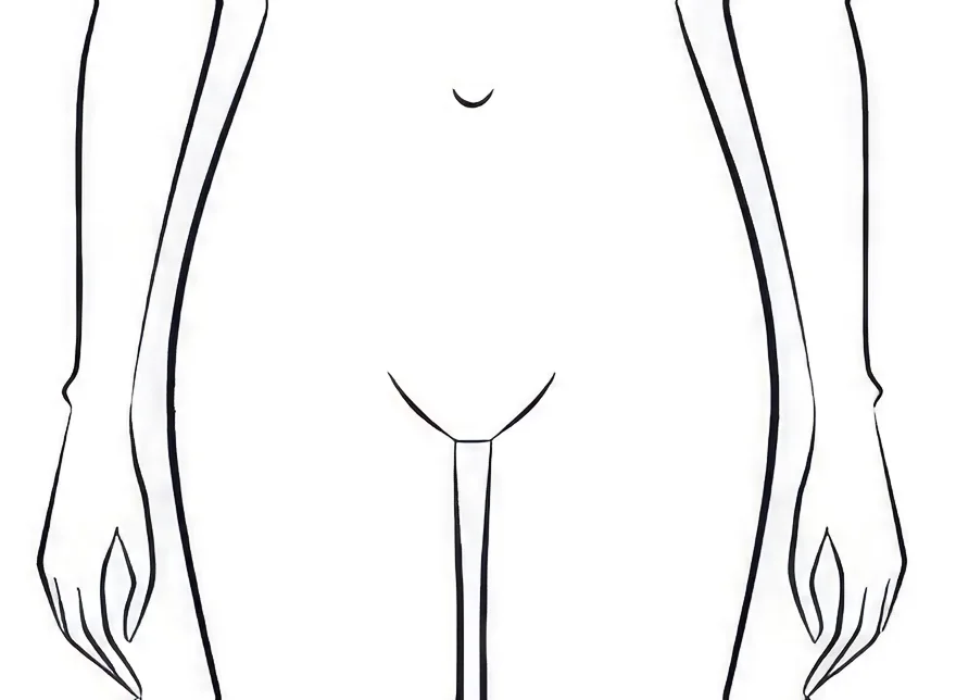 Schéma épilation maillot intégral femme